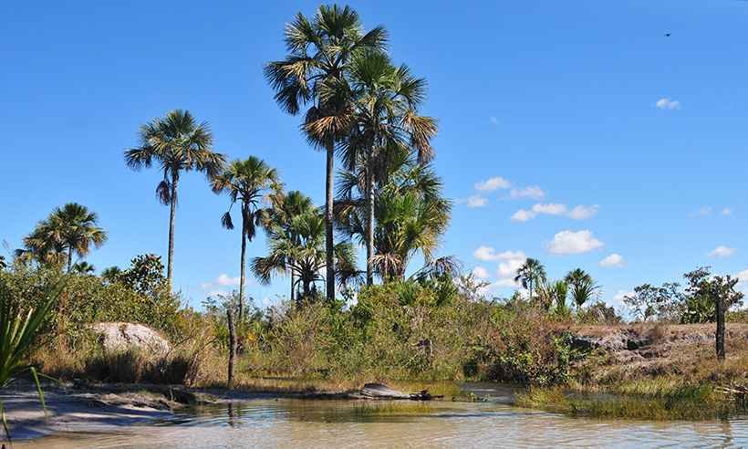 Minas Gerais está entre os 10 destinos mais acolhedores do mundo - Alexandre Guzanshe/EM/D.A Press - 06/07/2016