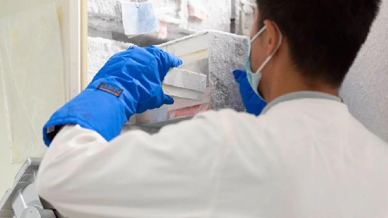 Outro vírus preocupa a Ásia, e cientistas tentam evitar mais uma pandemia - Sa Sola