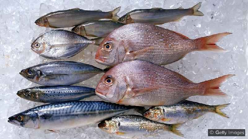 Conheça os riscos e os benefícios à saúde do consumo de peixe - Getty Images