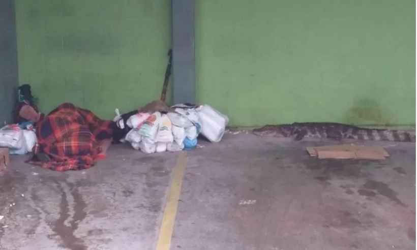 Vídeo mostra jacaré perto de morador de rua que dormia em estacionamento - Facebook/Reprodução
