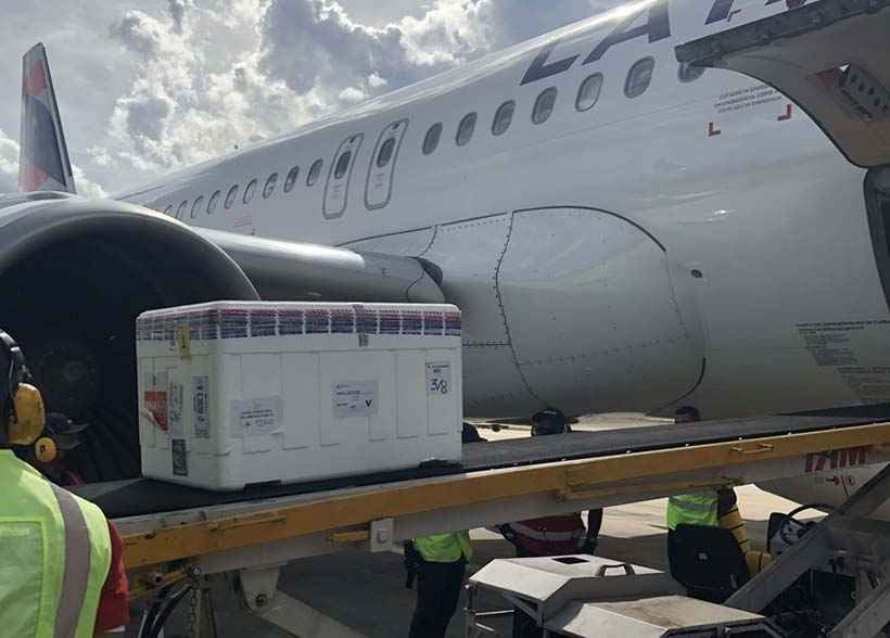 Vacina: Centro-Oeste de MG recebe 19 mil doses para 53 municípios - BH Airport / Divulgação