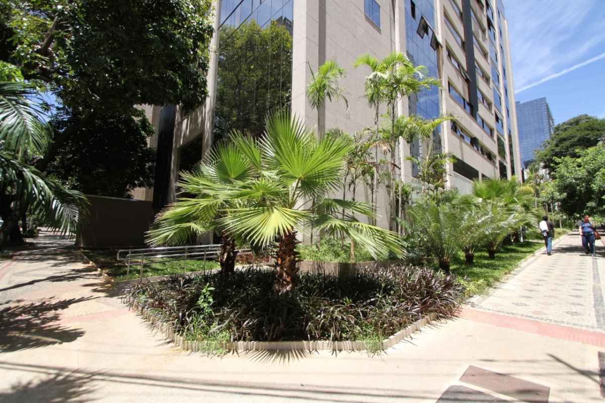 BH cria Crédito Verde e perdoará dívidas de quem tiver imóveis sustentáveis - Edésio Ferreira/EM/D. A. Press