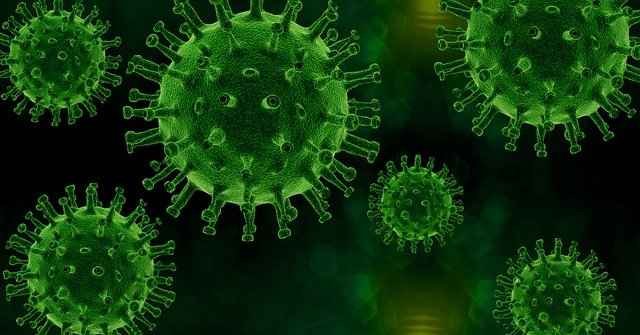 Mutação do coronavírus gera novo alerta para barrar disseminação no Brasil - Pixabay/Reprodução