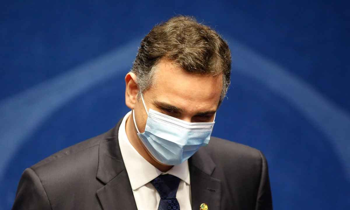 Conheça Rodrigo Pacheco, que recoloca MG no comando do Senado após 44 anos - SERGIO LIMA/AFP