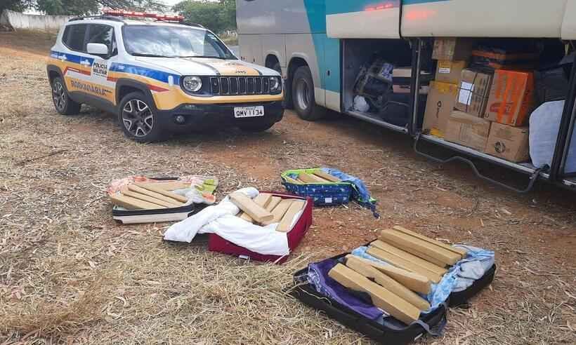 Polícia Militar Rodoviária apreende 71 quilos de maconha em ônibus - Divulgação/PMRv