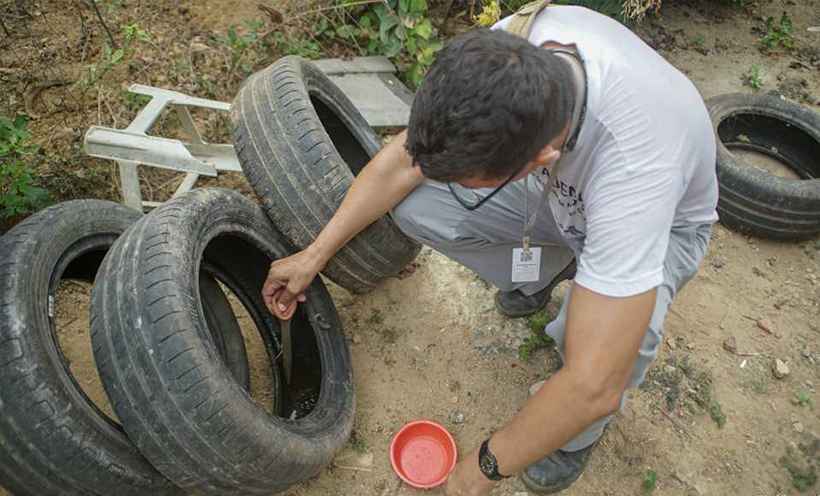 Valadares: Índice de infestação do mosquito Aedes Aegypti caiu em 2021 - Divulgação PMGV