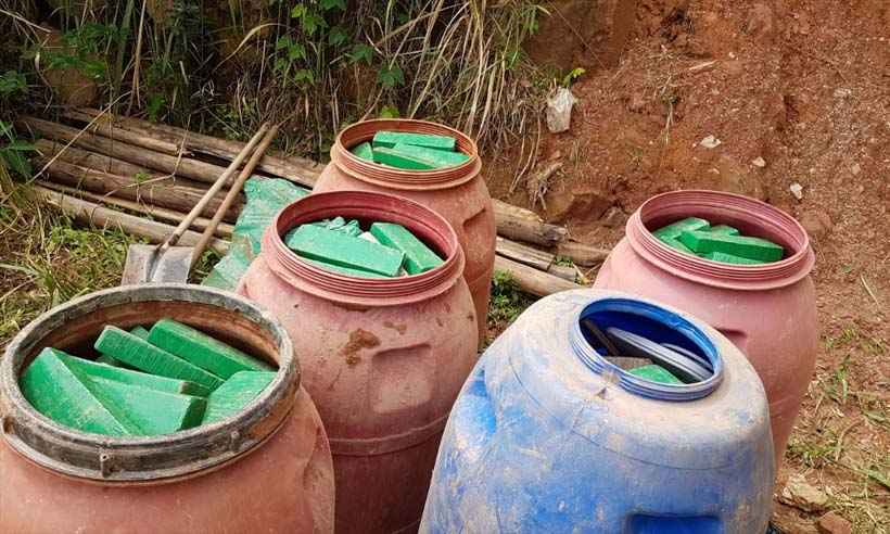 PM apreende quase uma tonelada de maconha na Grande BH - PM/Divulgação