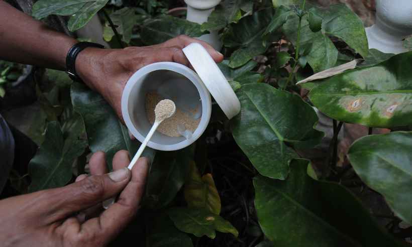 Chuvas podem aumentar casos de dengue em Belo Horizonte - Leandro Couri/EM/D.A press