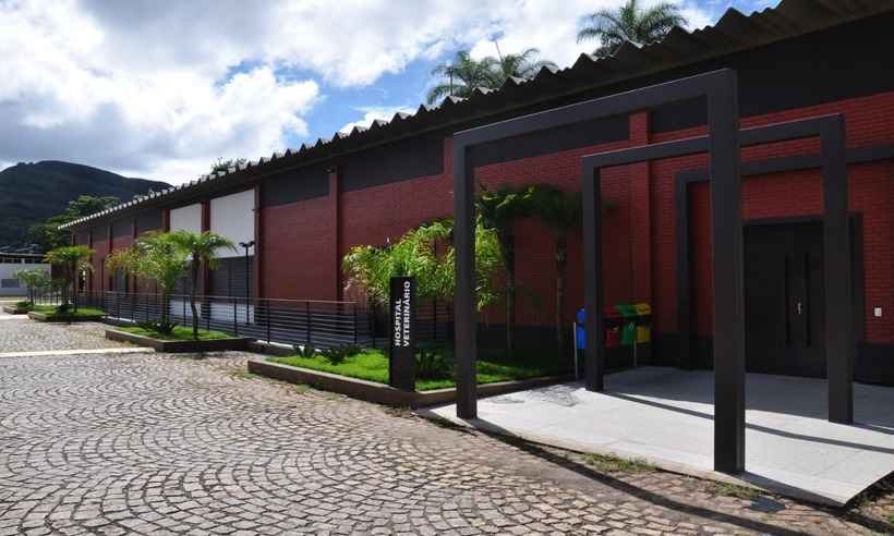 UniBH mostra estrutura e dia a dia do profissional veterinário aos alunos - Maykel Douglas/Divulgação
