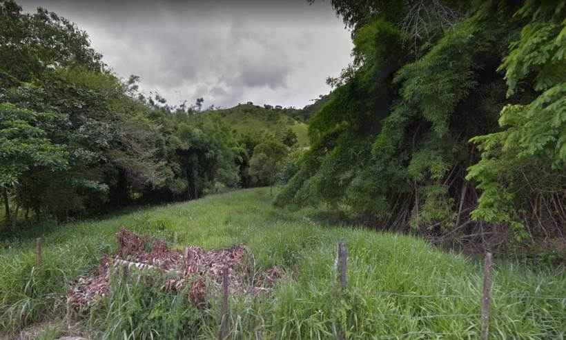 Homem é detido por matar cachorro em distrito de Marliéria, no Vale do Aço - Google Street View/Reprodução