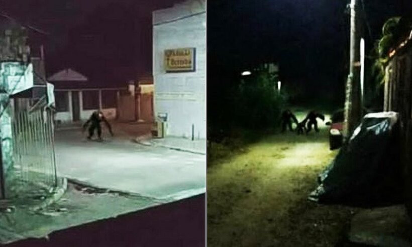 Folclore na pandemia? Moradores de ilha acreditam em 'monstro do lockdown' - Redes Sociais/Reprodução