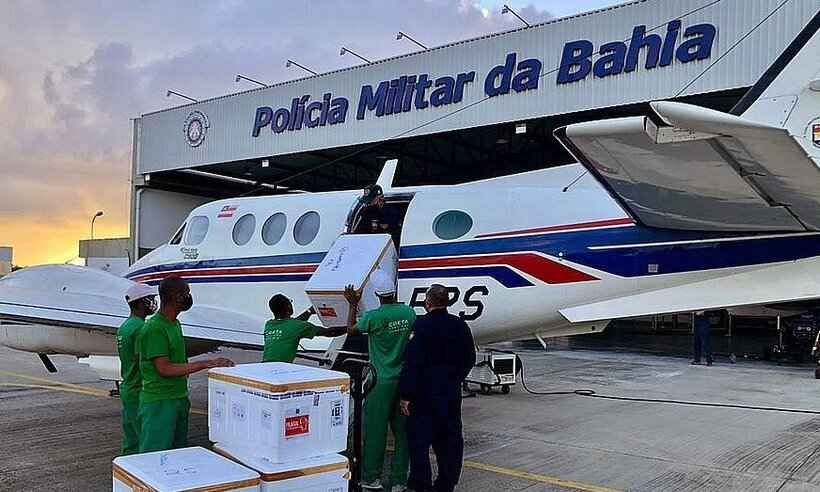Avião que transportava vacina na Bahia bate em jumento - Divulgação / Sesab