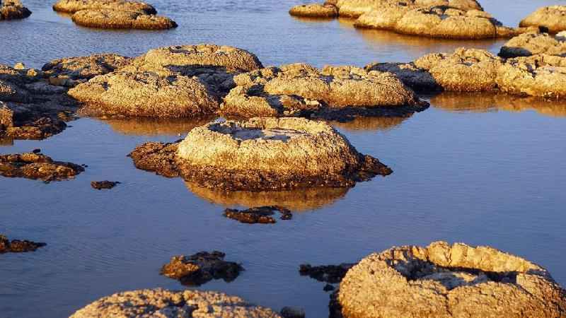 Estromatólitos: como a forma de vida mais antiga conhecida ajudou a tornar a Terra habitável - MaXPdia/Getty Images