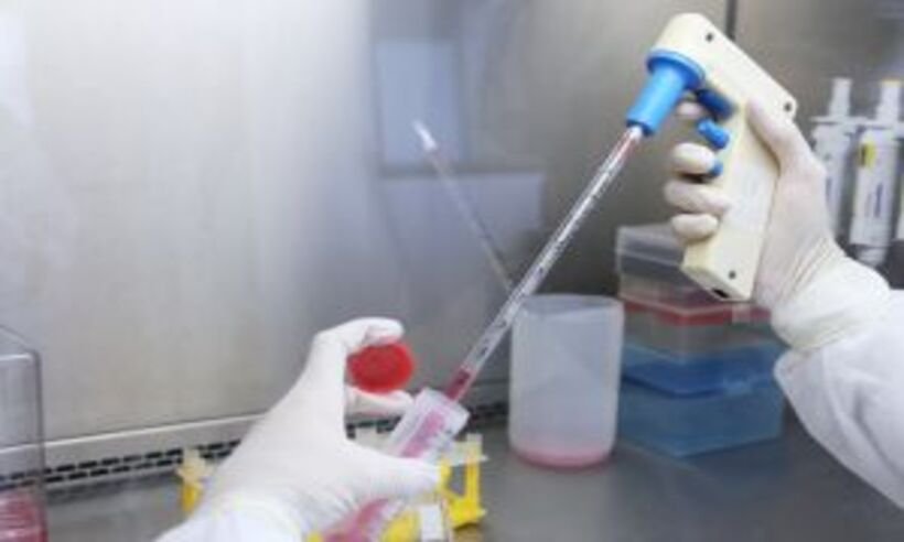 Dados pré-clínicos de vacina brasileira são enviados para a Anvisa - Farmacore/Divulgação