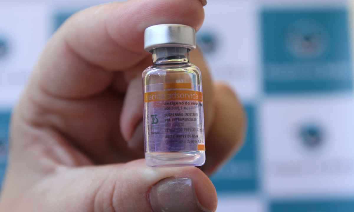 Vereadores vão apressar aval à entrada de BH em consórcio por vacinas - Jair Amaral/EM/D.A Press