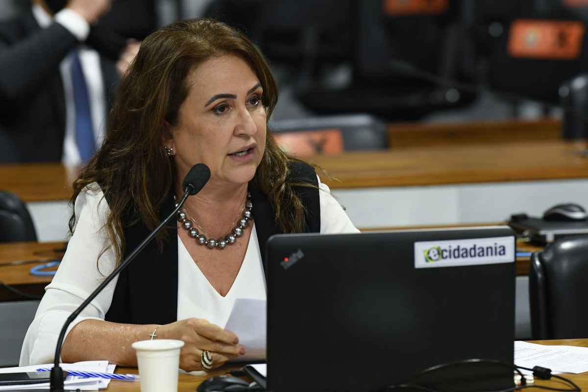Araújo quer 'cortina de fumaça' para esconder motivo real de demissão, diz Kátia - Jefferson Rudy/Agência Senado