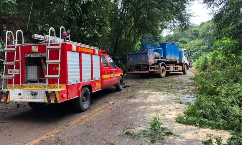 Queda de árvore provoca acidente em rodovia mineira - CBMMG/Divulgação 
