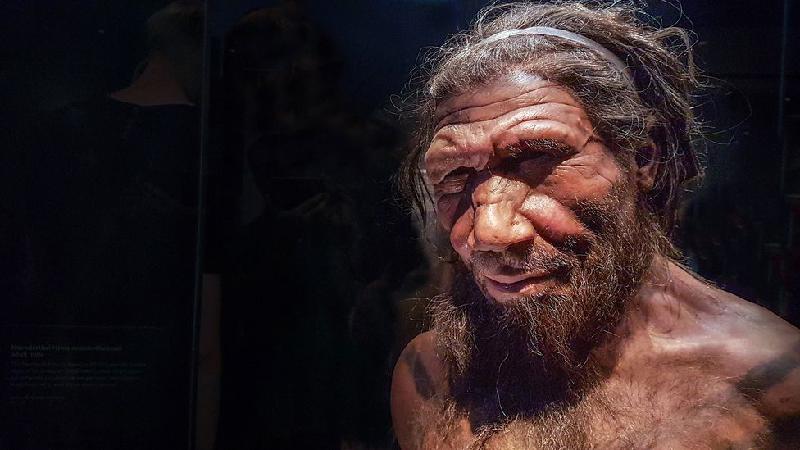 Como eram as relações sexuais dos neandertais - RM Flavio Massari/Alamy