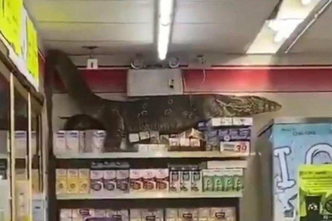 Vídeo: lagarto gigante invade loja e escala prateleira - Reprodução