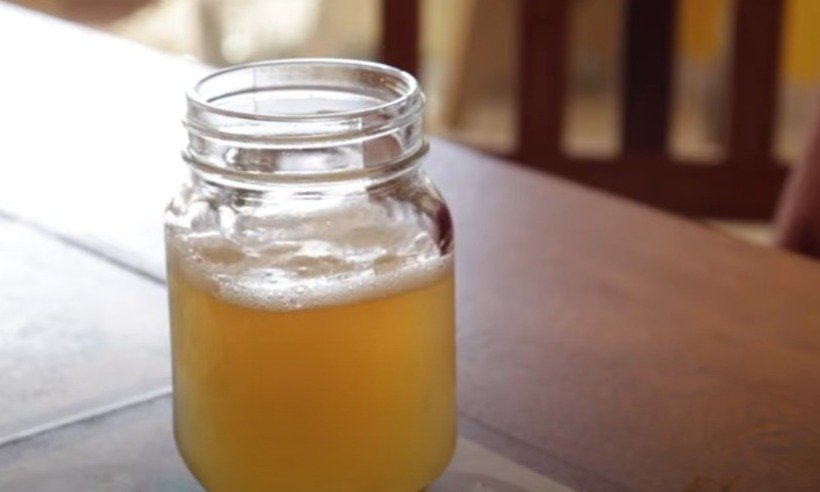 Pesquisa da UFMG alerta para consumo da bebida fermentada kombucha - Reprodução/ TV UFMG