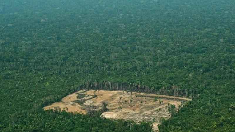 Governo e ruralistas pressionam por lei polêmica que beneficia desmatadores da Amazônia - AFP