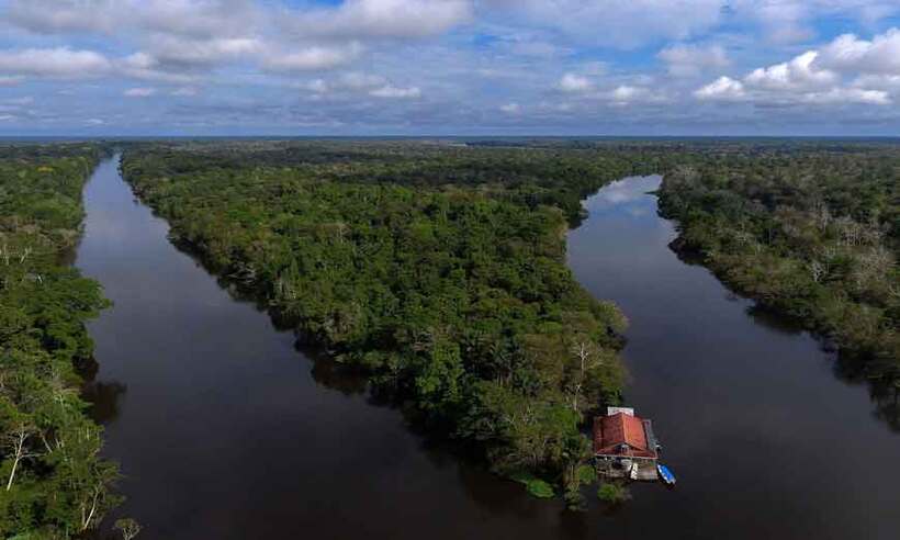 Empresas estão dispostas a proteger a Amazônia, mas Bolsonaro dificulta - Mauro Pimentel/AFP - 22/10/18
