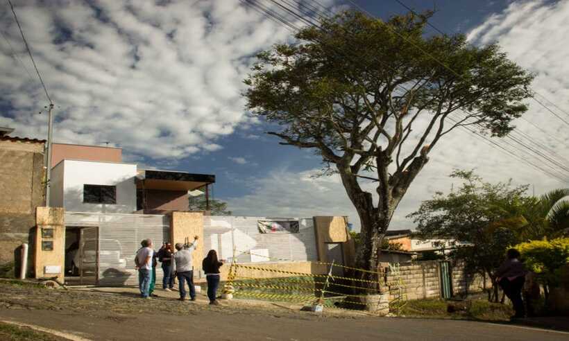 Árvore ameaçada de corte em Caeté está sadia, atesta novo laudo - Wanderley Pinheiro/ONG Macaca