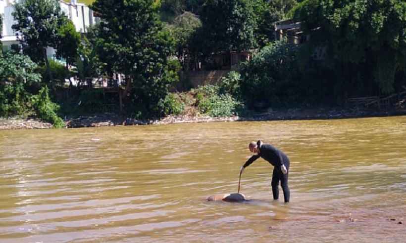 Corpo de homem é resgatado no Rio Piranga em Ponte Nova - CBMMG/Divulgação