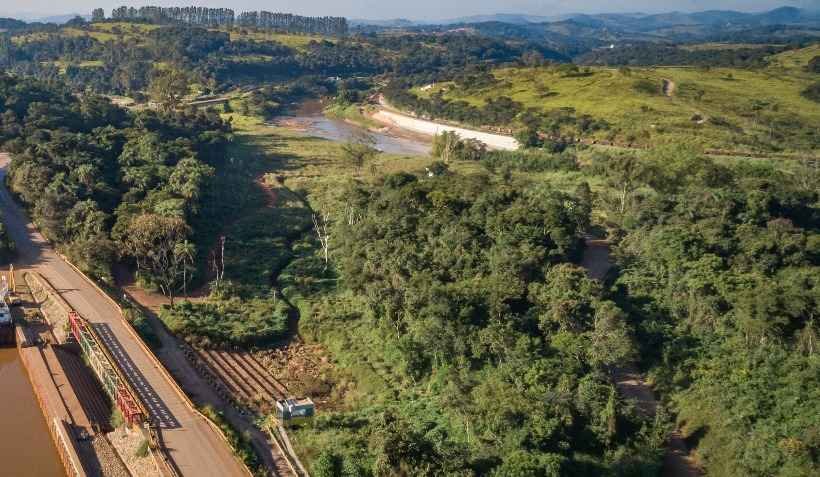 DNA da mata de Brumadinho acelera reflorestamento em área do rompimento - Divulgação/Vale