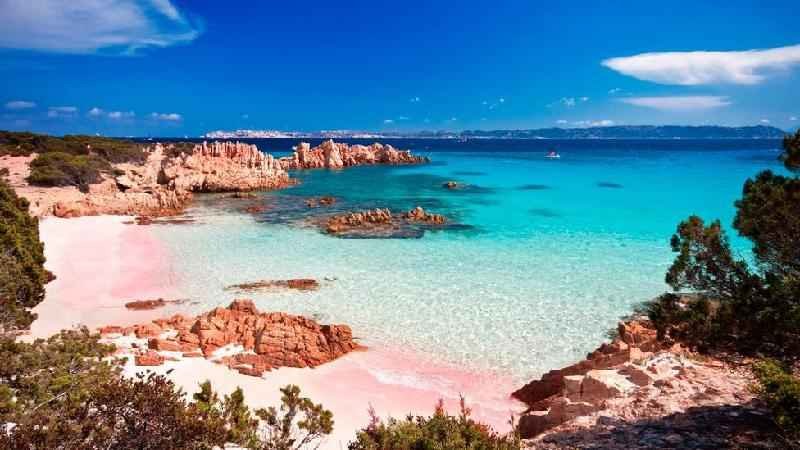 Homem isolado há 32 anos em ilha de praia rosa vai se mudar por pressão - Getty Images