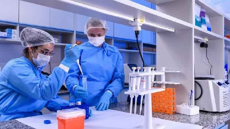 O polêmico experimento com células humanas cultivadas em embriões de macaco - Getty Images