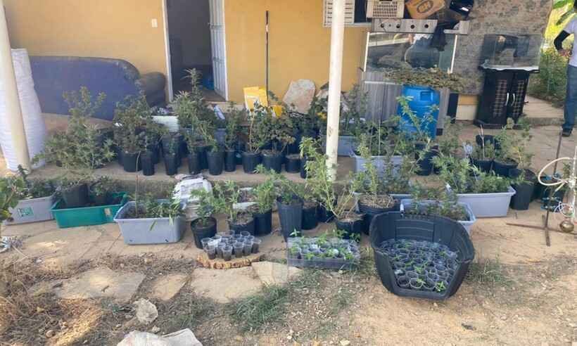 Polícia prende estudante de agronomia com laboratório de drogas em Ingaí - PCMG/divulgação