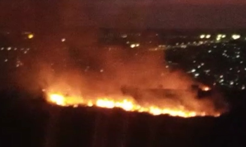 Bombeiros combatem fogo em mata no Bairro Palmeiras, em BH - Carlúcio Rodrigues/Divulgação