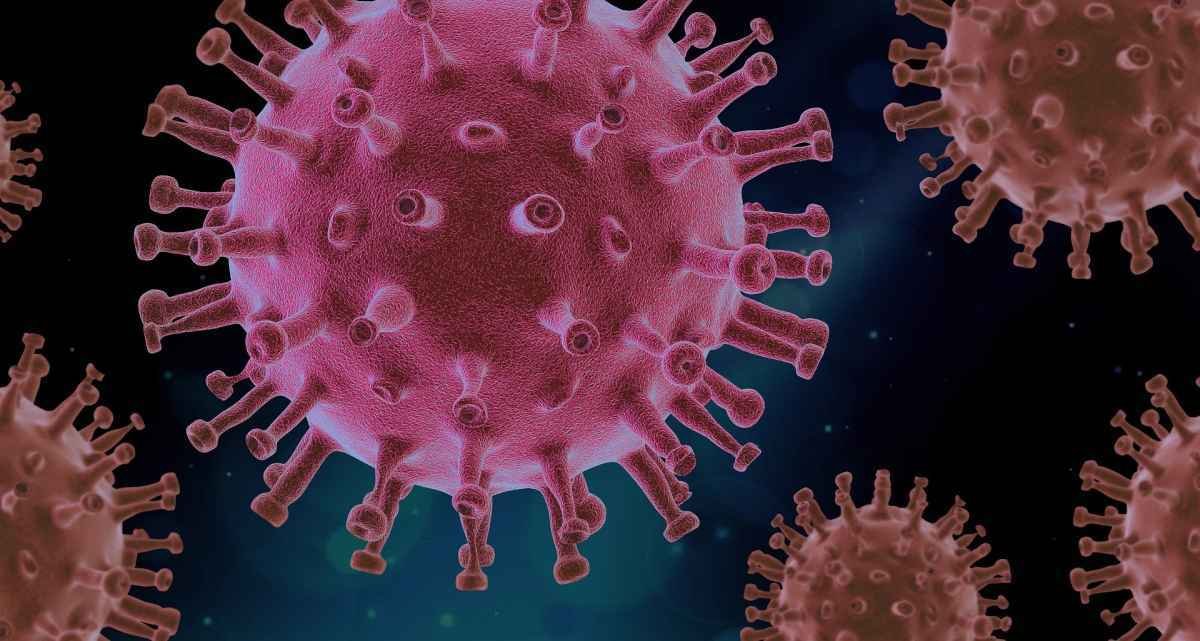 Probióticos podem agir na prevenção de infecções virais - Pixabay
