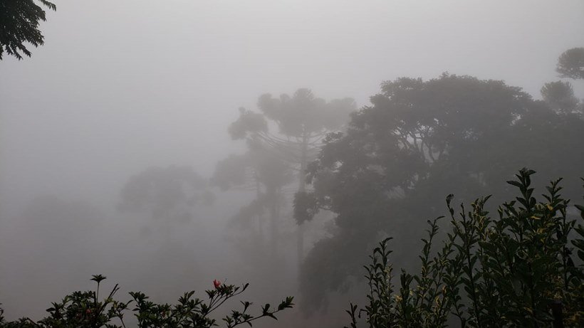 Monte Verde registra 2,9°C nesta quarta, recorde de frio do ano em Minas - Nelson Pacheco 