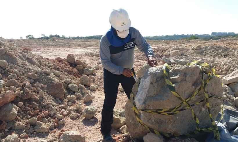Fósseis de dinossauros são encontrados em empresa de mineração - Paulo César Silva Macedo/Divulgação 