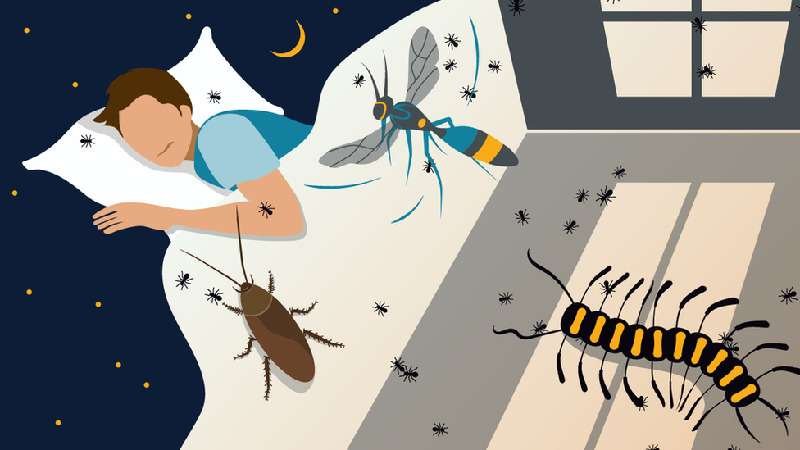 Covid-19: como a pandemia do coronavírus afeta nossos sonhos quando dormimos - BBC