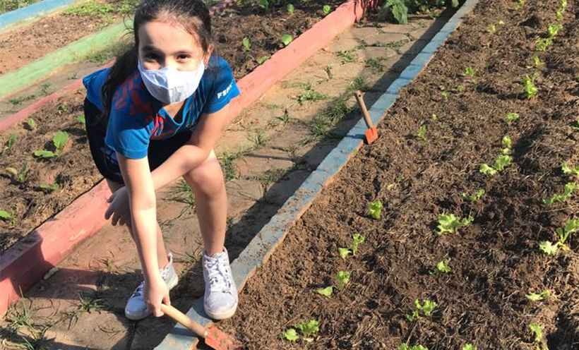 Crianças em Ipatinga desenvolvem biofertilizante em horta escolar - Divulgação FSFX