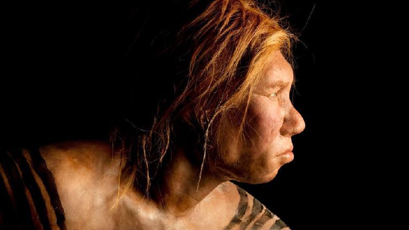 Covid: Como herança genética neandertal influencia resposta imunológica ao coronavírus - Getty Images