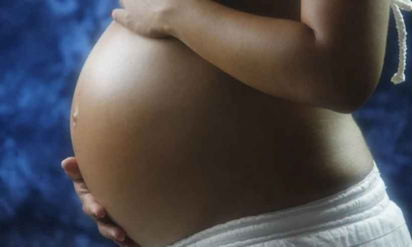 COVID: Minas inclui grávidas e lactantes nos próximos grupos prioritários - Pixabay/ Reprodução