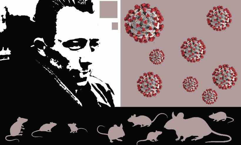 Se você já leu o livro "A peste", de Camus, tem o retrato nítido de hoje