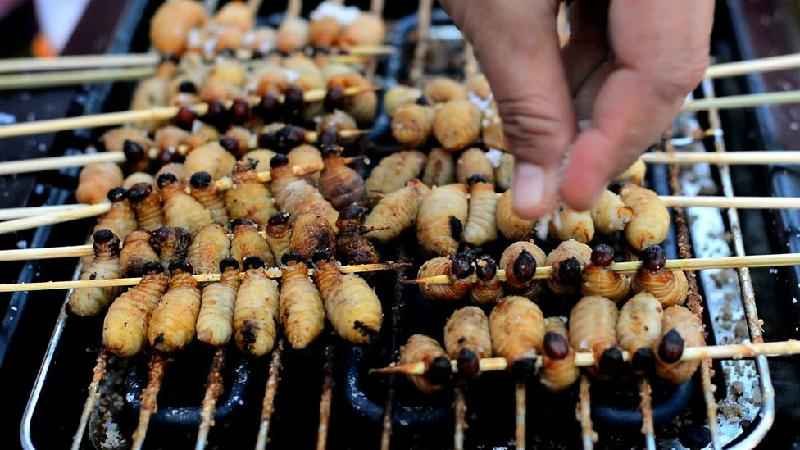 Insetos: o alimento supernutritivo desprezado pelo mundo ocidental - Getty Images