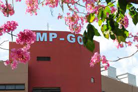 MPGO abre concurso com vagas de nível fundamental e salários de até R$ 3,5 mil - MPGO/Divulgação
