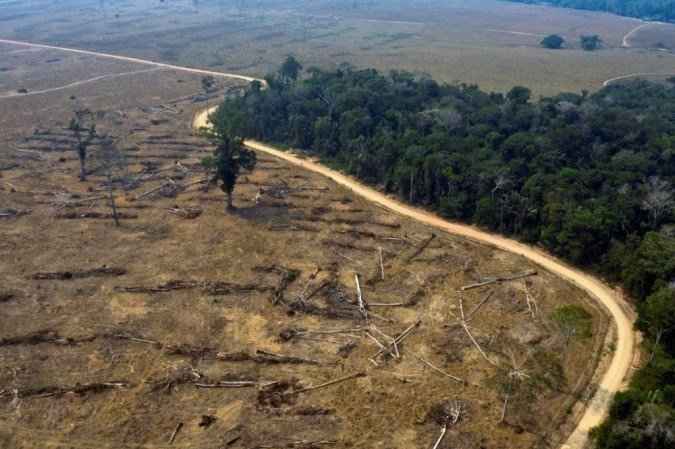 Desmatamento na Amazônia aumenta 312% em maio - Carlos Fabal/AFP