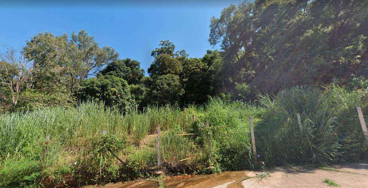 Justiça suspende licença ambiental e evita corte de quase mil árvores em BH - Google Street View;/ Reprodução