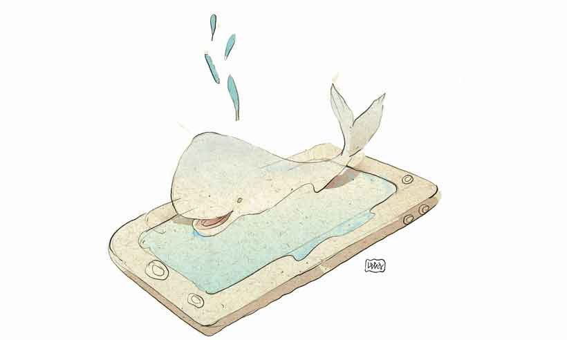 Você prefere ser baleia ou sereia?