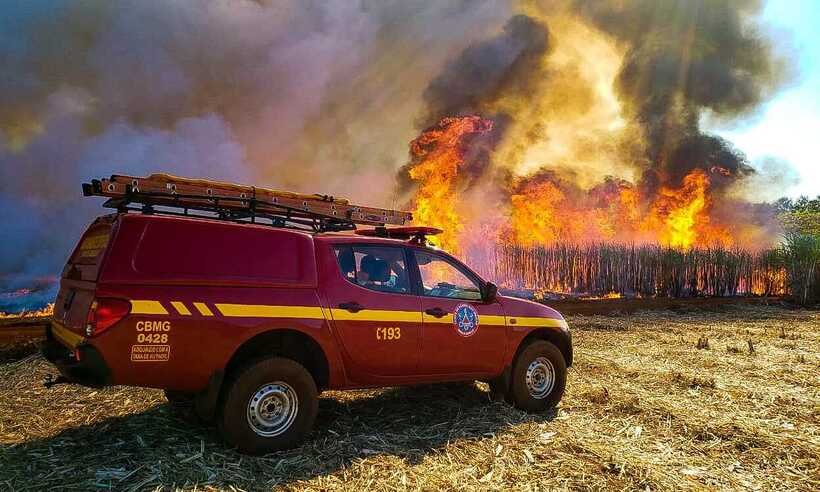 Aumento de casos de incêndios florestais liga sinal de alerta em Minas - CBMMG/Divulgação 