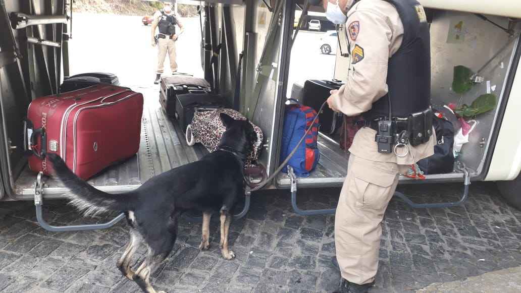 Cães farejadores descobrem drogas em meio a bagagens em ônibus de viagem - PMMG