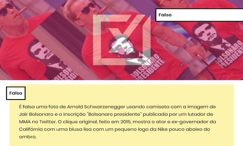 É falsa foto de Schwarzenegger com camiseta de apoio a Jair Bolsonaro - Reprodução/Comprova