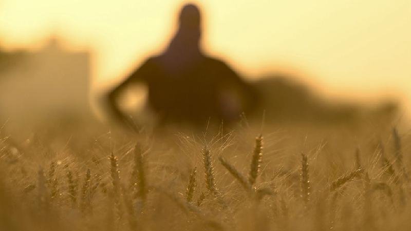 Mudanças climáticas: o gás 'esquecido' que contribui 300 vezes mais para efeito estufa do que CO2 - Getty Images